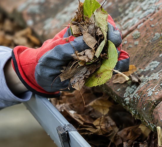 Professional gutter cleaning protecting home from water damage