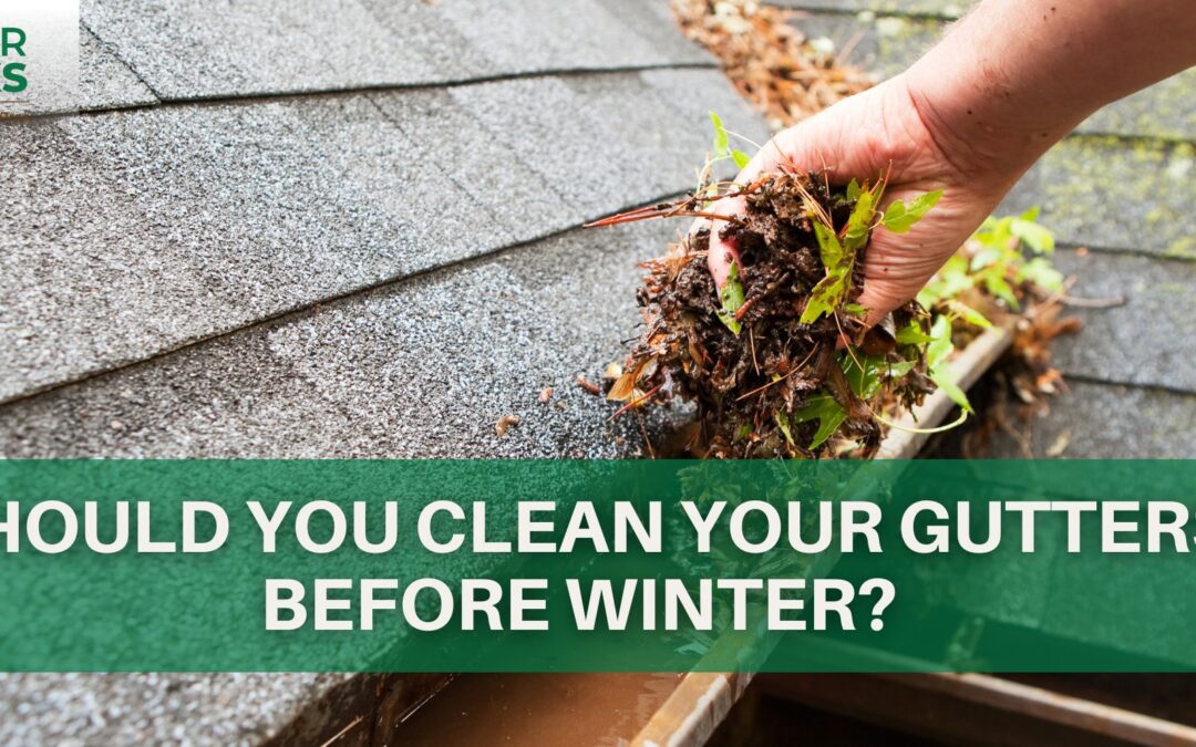Should you Clean Your Gutters Before Winter?