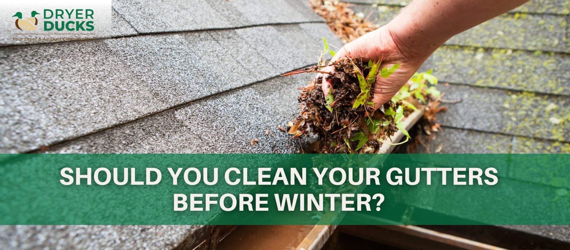 should-you-clean-your-gutters-before-winter-dryer-ducks