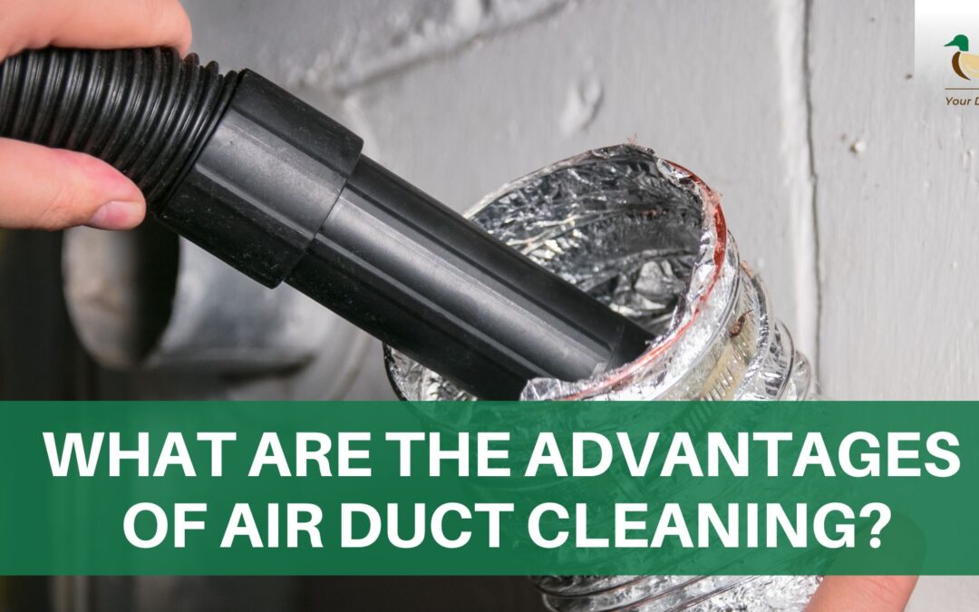 What are the Advantages of Air Duct Cleaning?