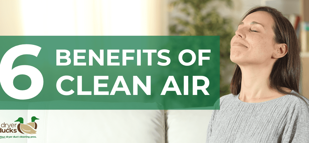 The 6 Key Benefits of Clean Air