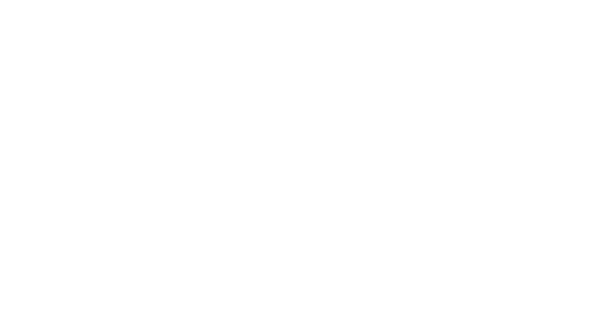 Dryer Ducks Logo
