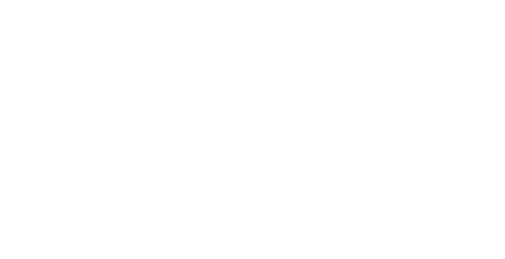 Dryer Ducks Logo