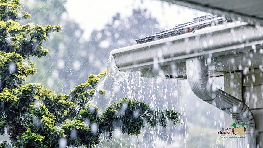 When Gutters Fail: The Flood Risk Lurking Along Your Roofline