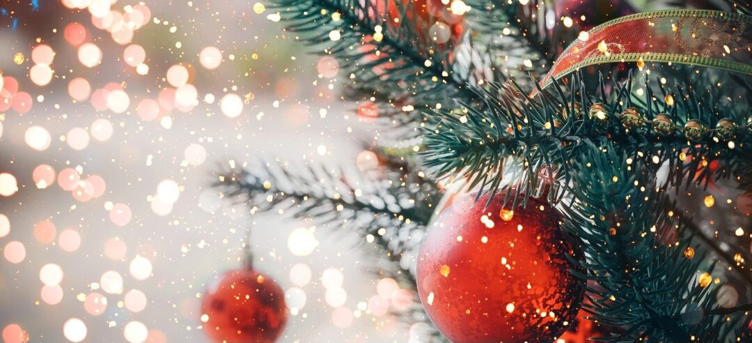 Merry Christmas from the Dryer Ducks Team!